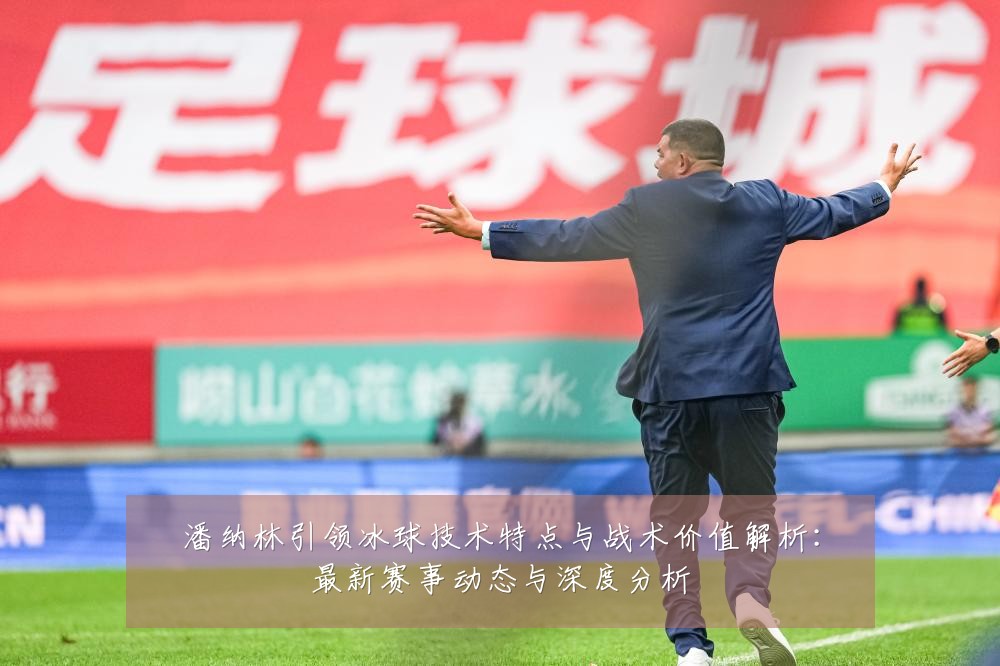 潘纳林引领冰球技术特点与战术价值解析:最新赛事动态与深度分析